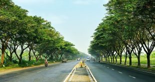 penanaman pohon di berbagai titik strategis kota