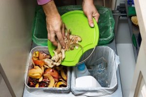 sampah organik dan anorganik