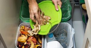 sampah organik dan anorganik
