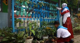 kolaborasi DLH dan sekolah mewujudkan sekolah adiwiyata