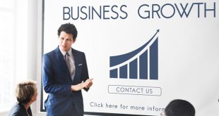 strategi perusahaan agar tetap stabil